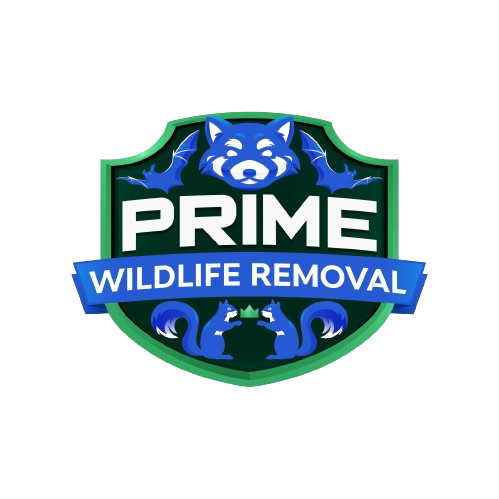 Wildlife Removal Evansville